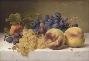 Johann Wilhelm Preyer A Still Life with Peaches and Grapes on a Marble Ledge painting